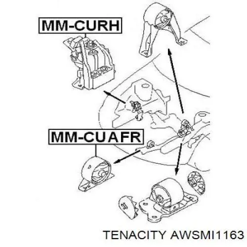 Подушка (опора) двигуна, права AWSMI1163 Tenacity