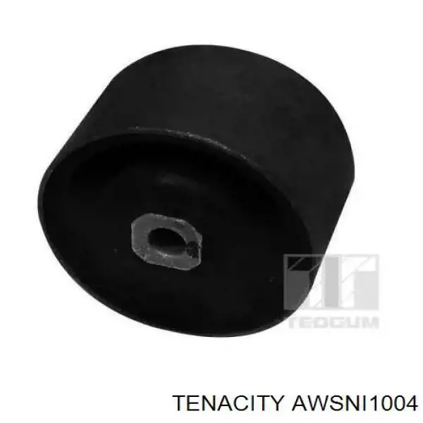 AWSNI1004 Tenacity