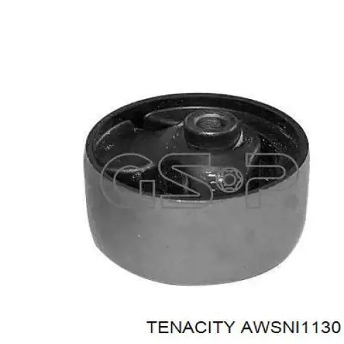 AWSNI1130 Tenacity