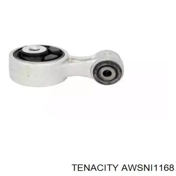 AWSNI1168 Tenacity