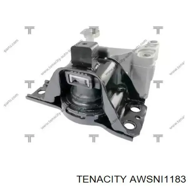  AWSNI1183 Tenacity