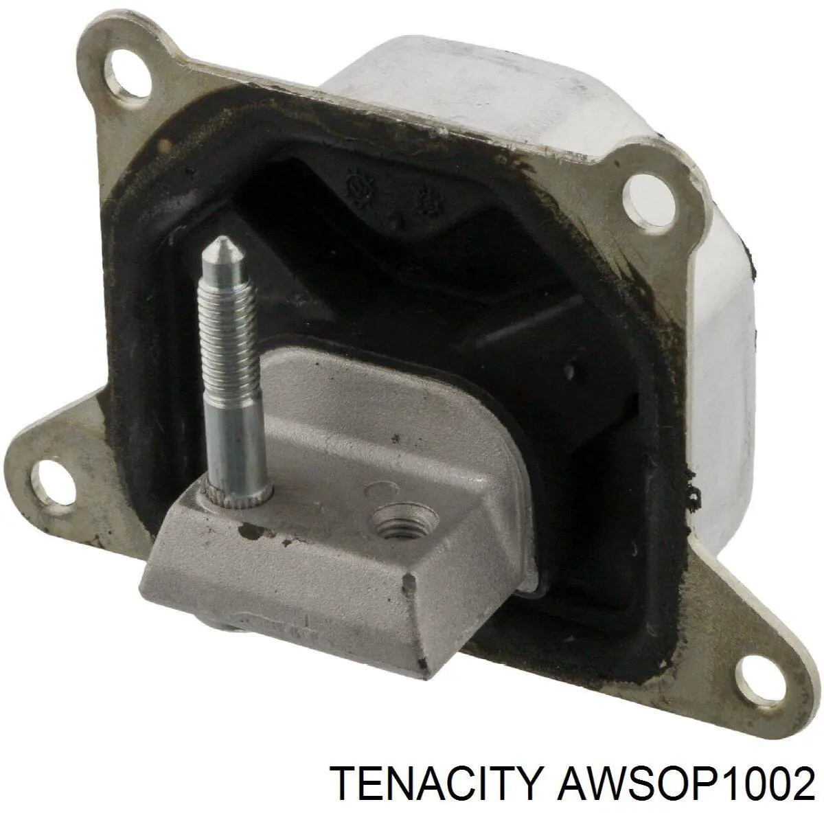 AWSOP1002 Tenacity