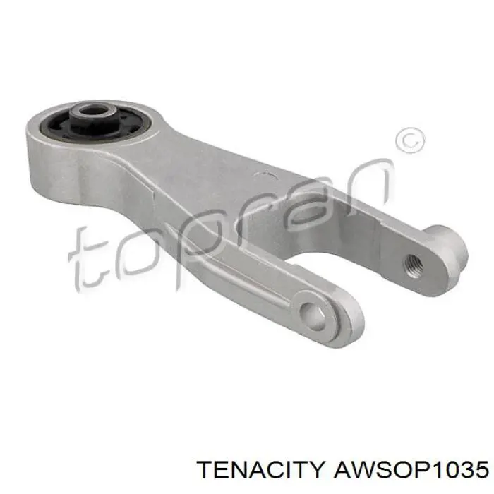 AWSOP1035 Tenacity