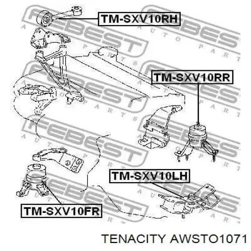 AWSTO1071 Tenacity