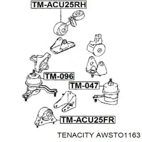 Soporte, motor, derecho superior AWSTO1163 Tenacity