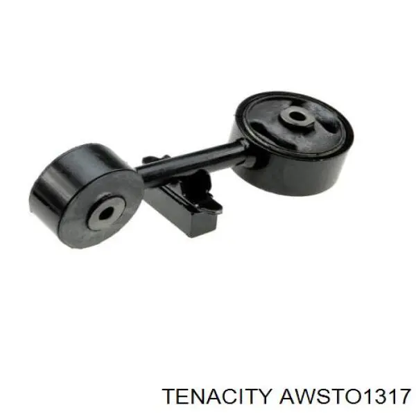  AWSTO1317 Tenacity