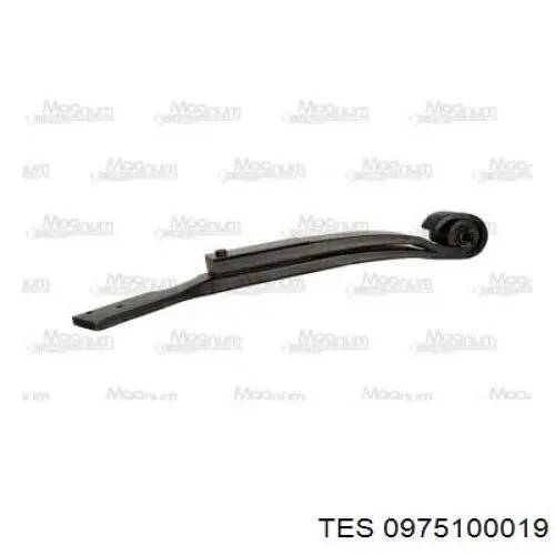  TES 0975100019