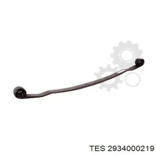 2934000219 TES 