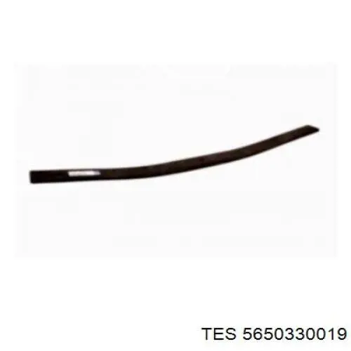 5650330019 TES Задние рессоры