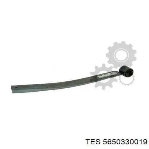 Рессоры задние (пружины задней подвески) TES 5650330019 цена, от 59.82 USD