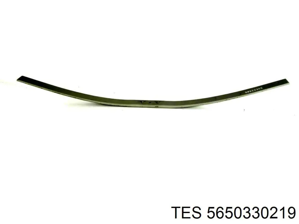 Рессора задняя 5650330119 TES