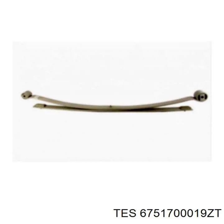 Рессоры задние (пружины задней подвески) TES 6751700019ZT цена, от 184.52 USD