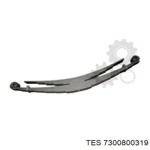 7300800319 TES 