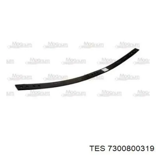  7300800319 TES