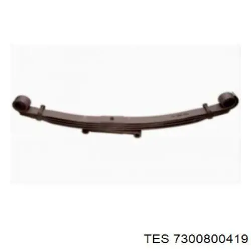 Купить 7300800419 TES 