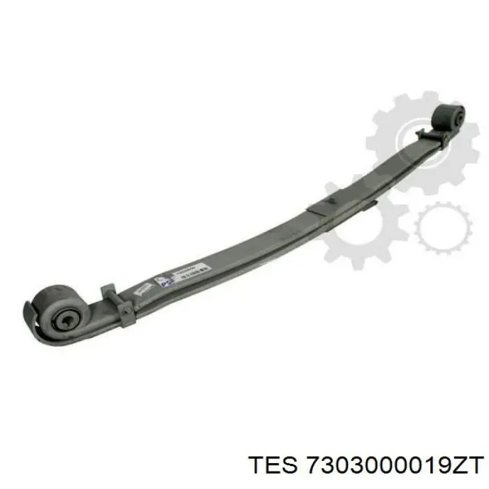  7303000019 TES