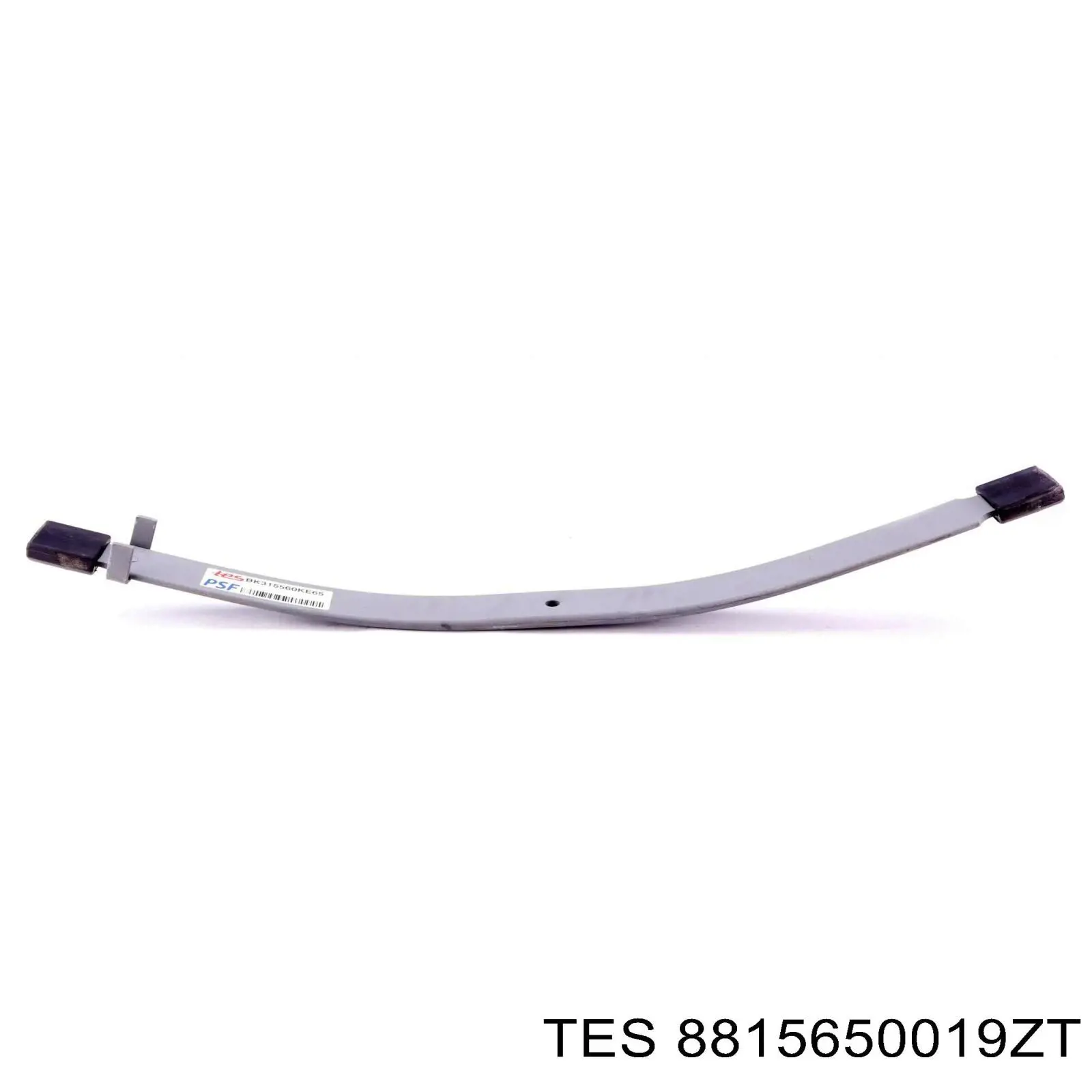 8815650019ZT TES Задние рессоры