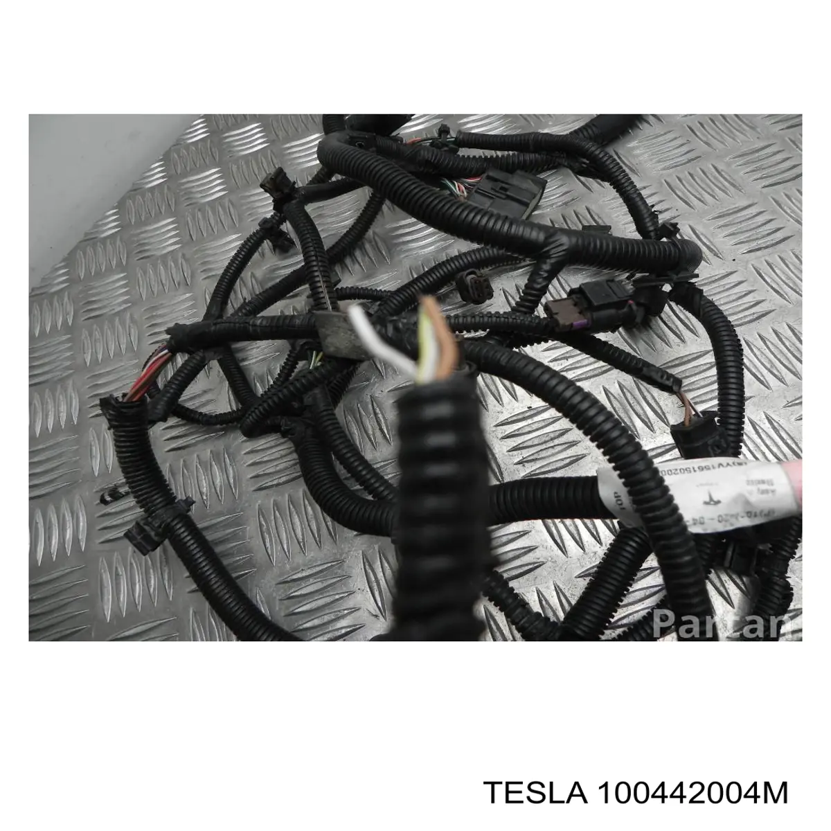  100442004M Tesla Motors