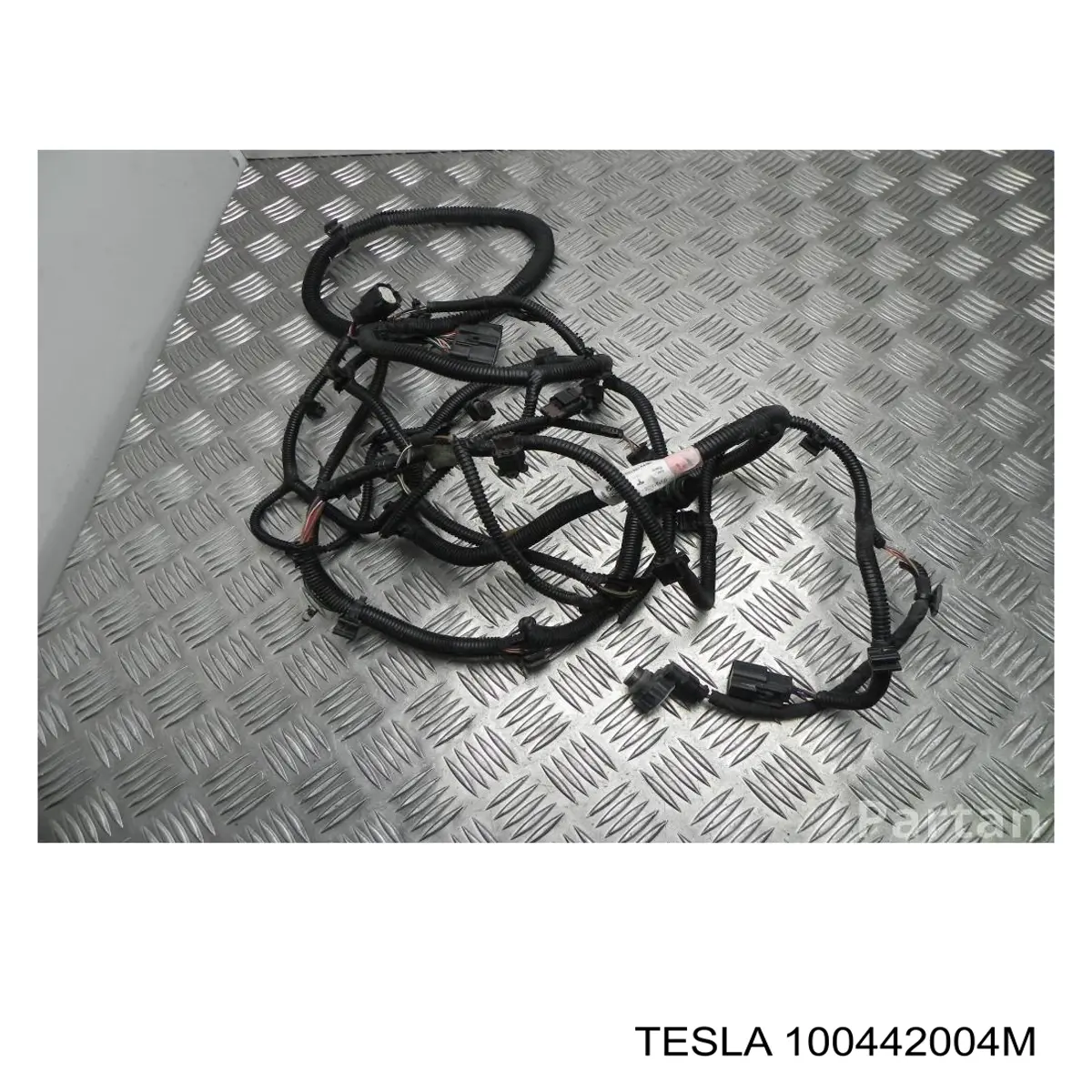 100442004M Tesla 