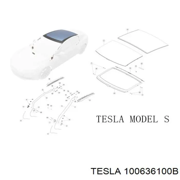  100636100B Tesla