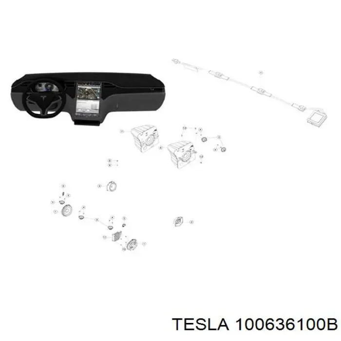 100636100B Tesla 