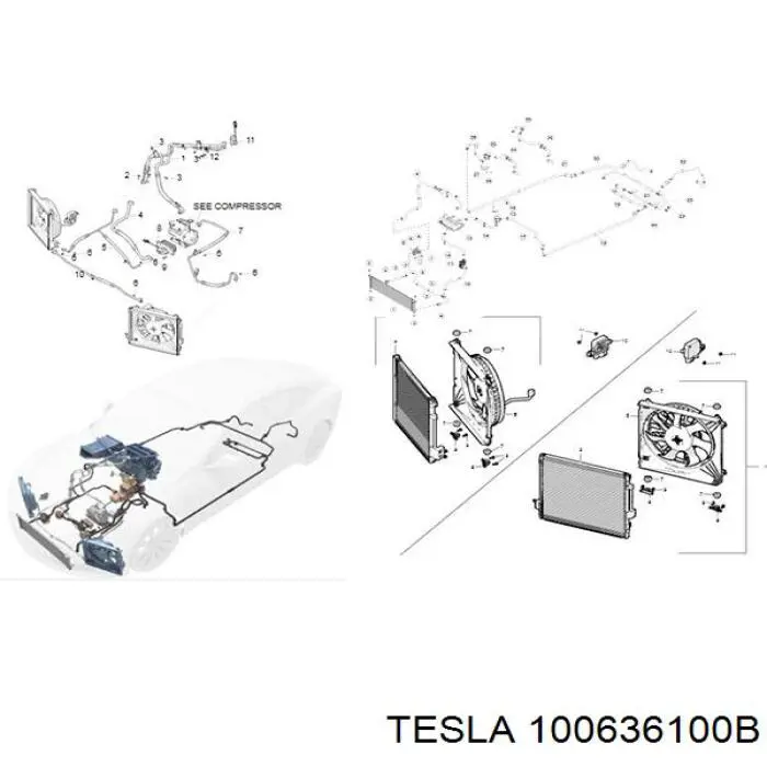 Купить 100636100B Tesla 