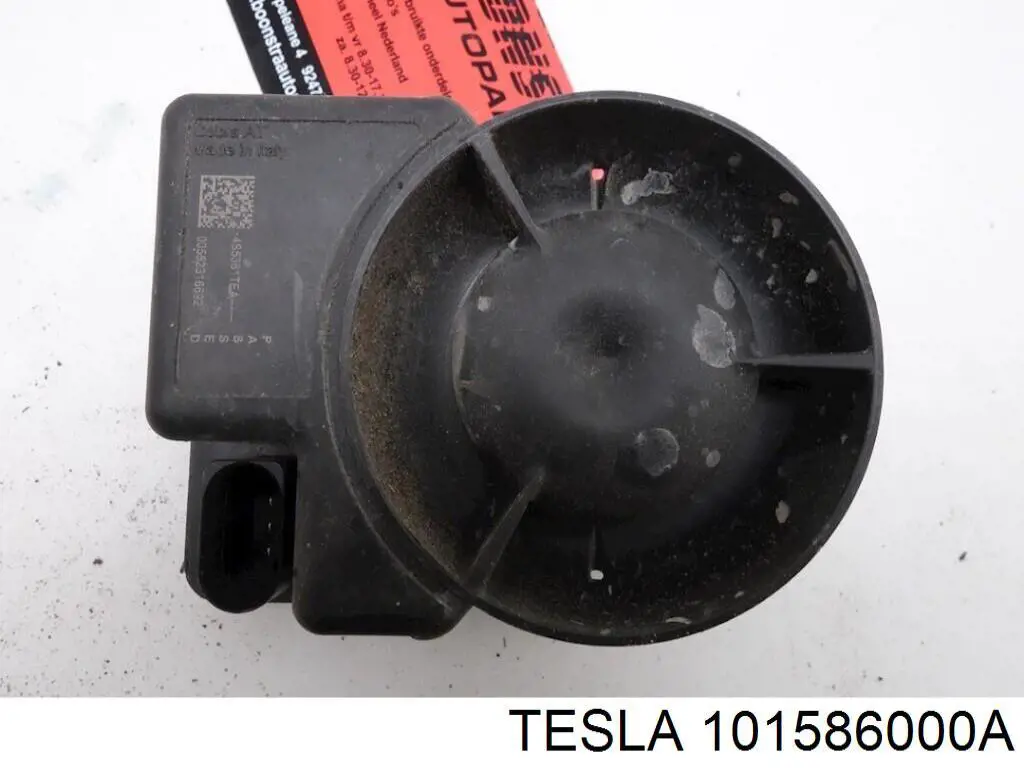  101586000A Tesla