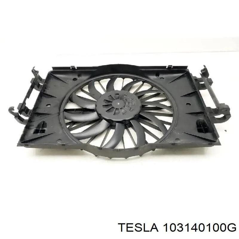  103140100G Tesla Motors