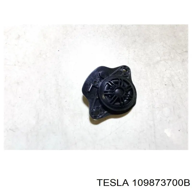  109873700B Tesla