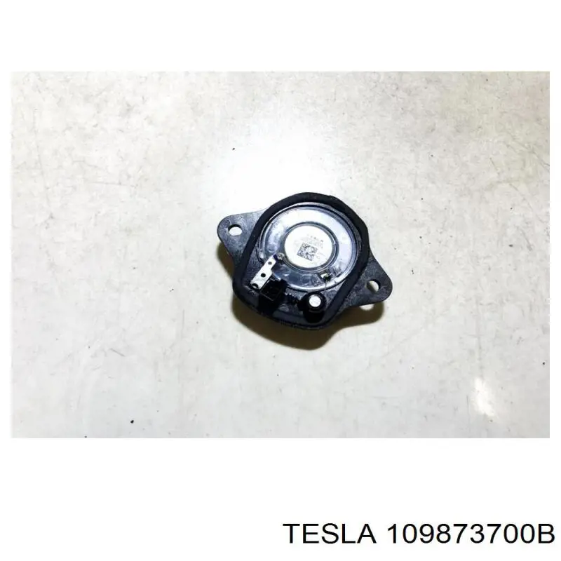109873700B Tesla 