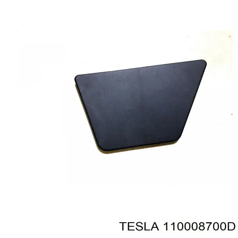 110008700D Tesla 