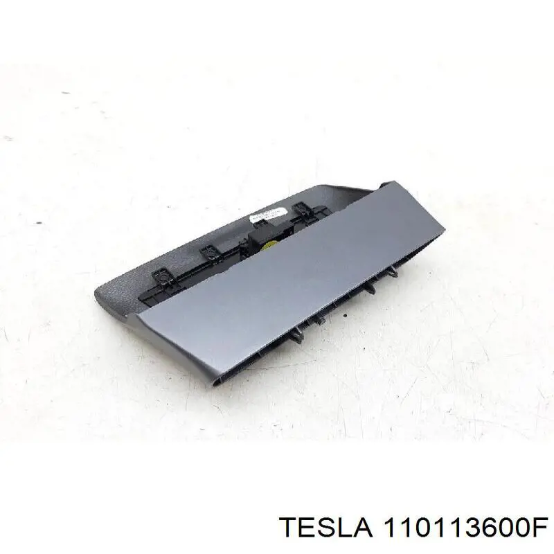  110113600F Tesla