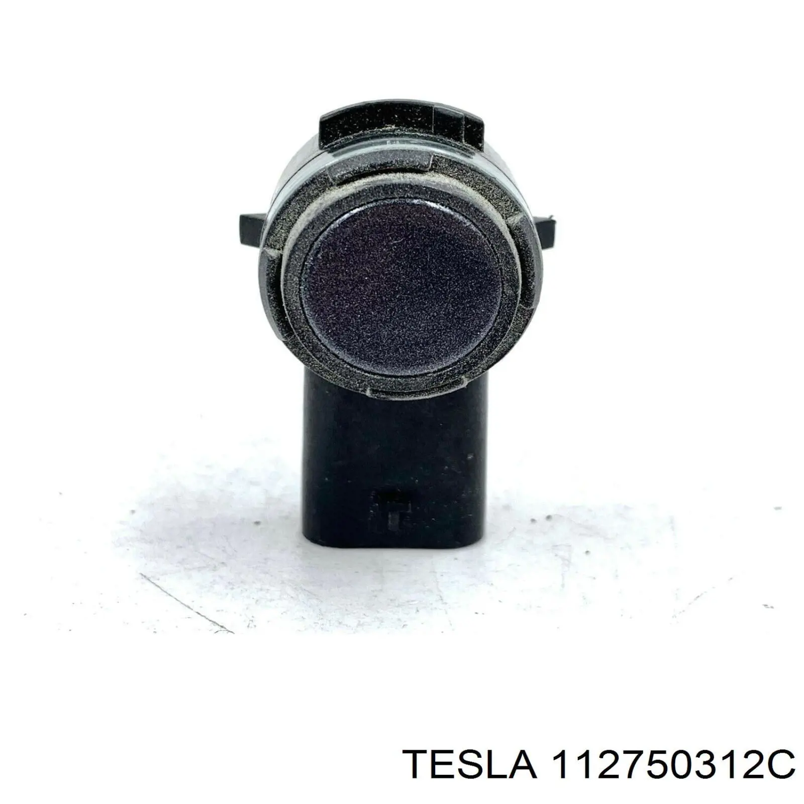 112750312C Tesla Motors 