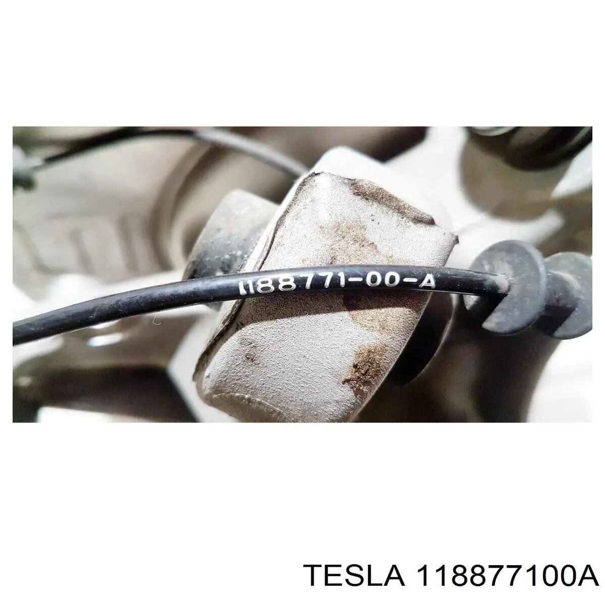 118877100A Tesla 