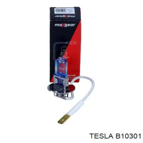 Купить B10301 Tesla Лампочка галогенная