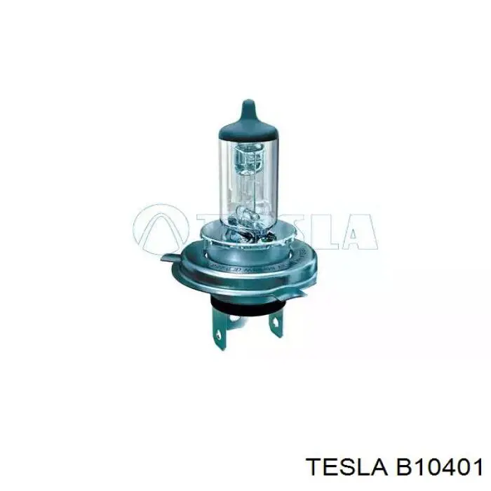 B10401 Tesla