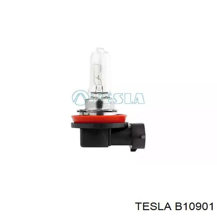 B10901 Tesla lâmpada halógena