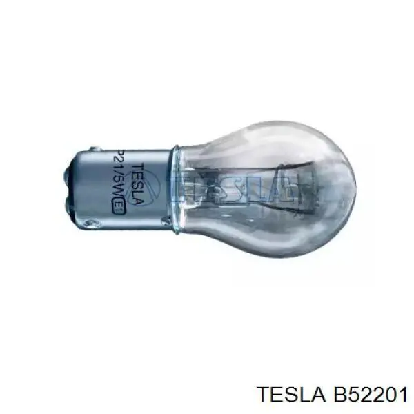 B52201 Tesla