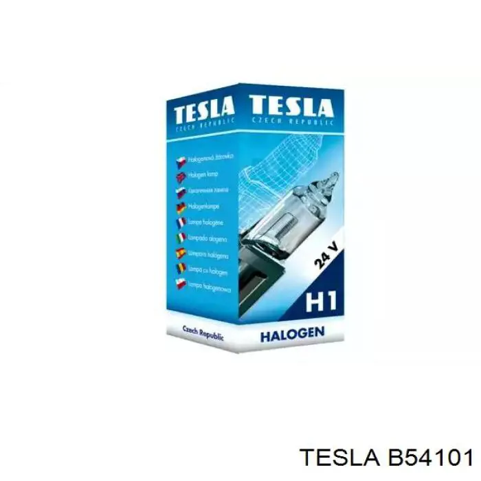 B54101 Tesla