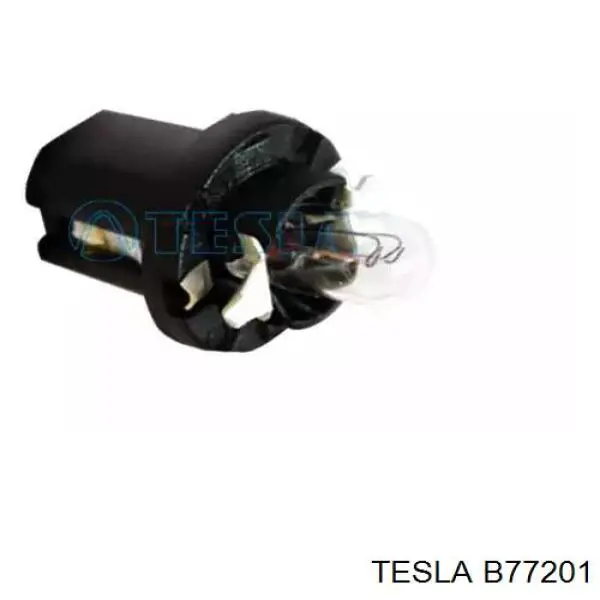  B77201 Tesla