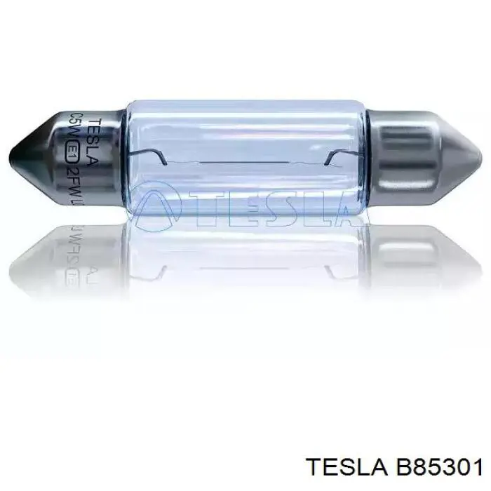 B85301 Tesla лампочка плафона освещения салона/кабины
