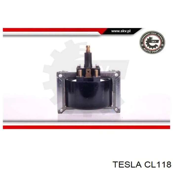 CL118 Tesla