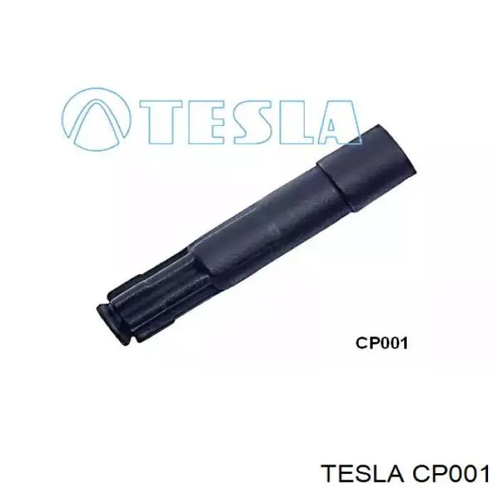 CP001 Tesla