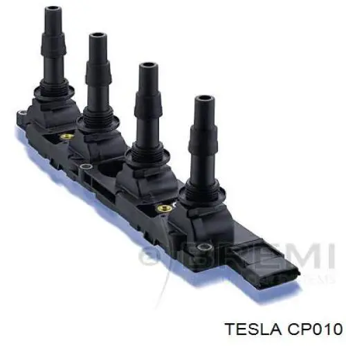 CP010 Tesla