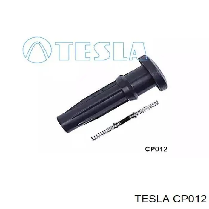 CP012 Tesla