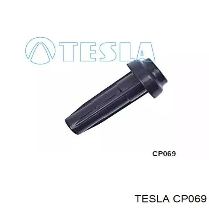 CP069 Tesla