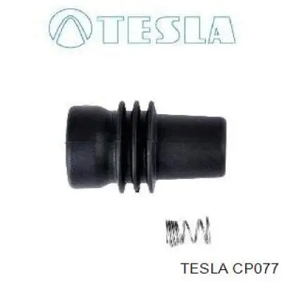  CP077 Tesla