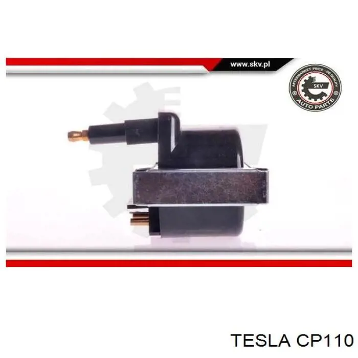 Купить CP110 Tesla 