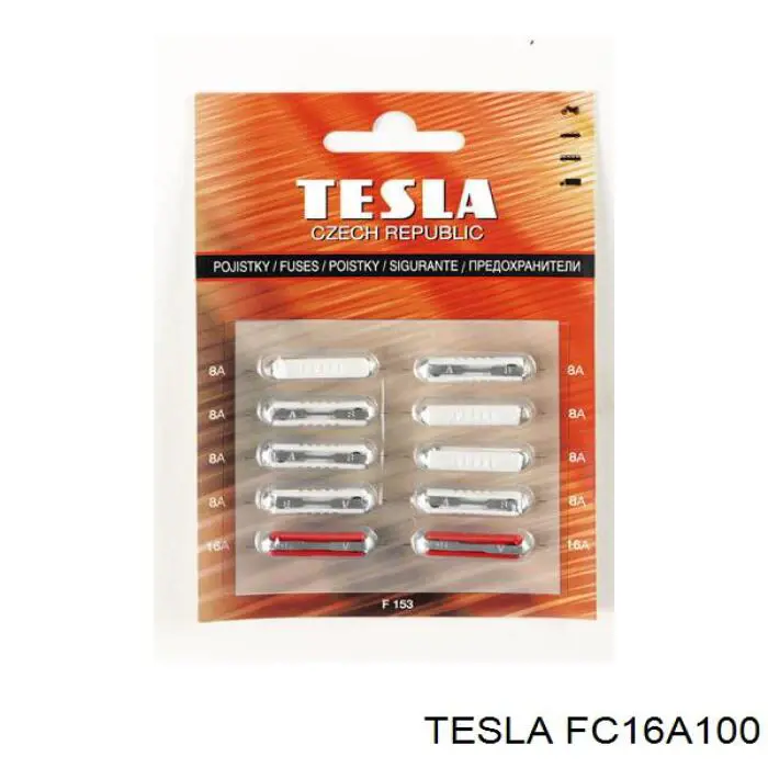 Предохранитель FC16A100 Tesla