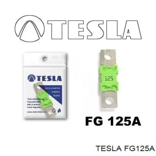 Предохранитель FG125A Tesla